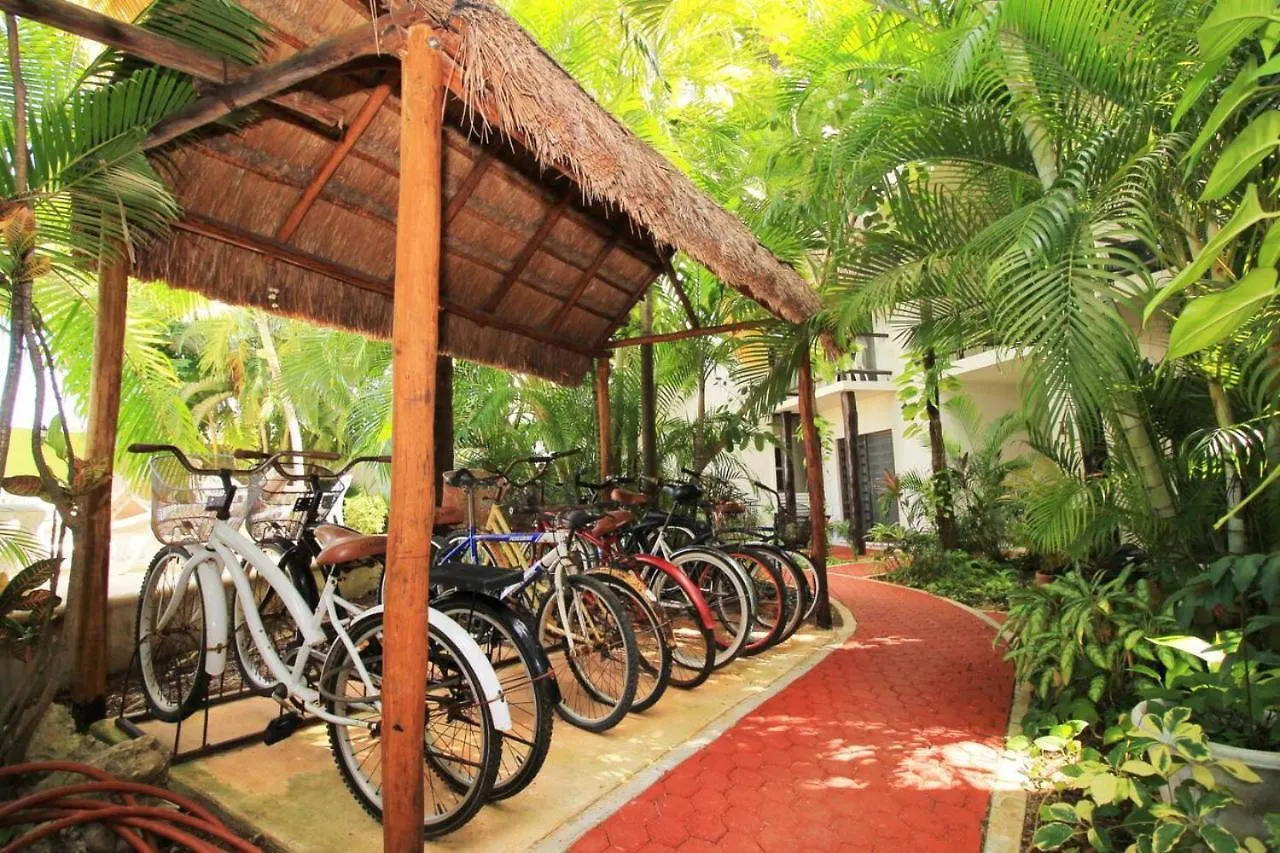 Beach Lovers Chic 2Br Home Dowtown - Sea At 100M Playa del Carmen