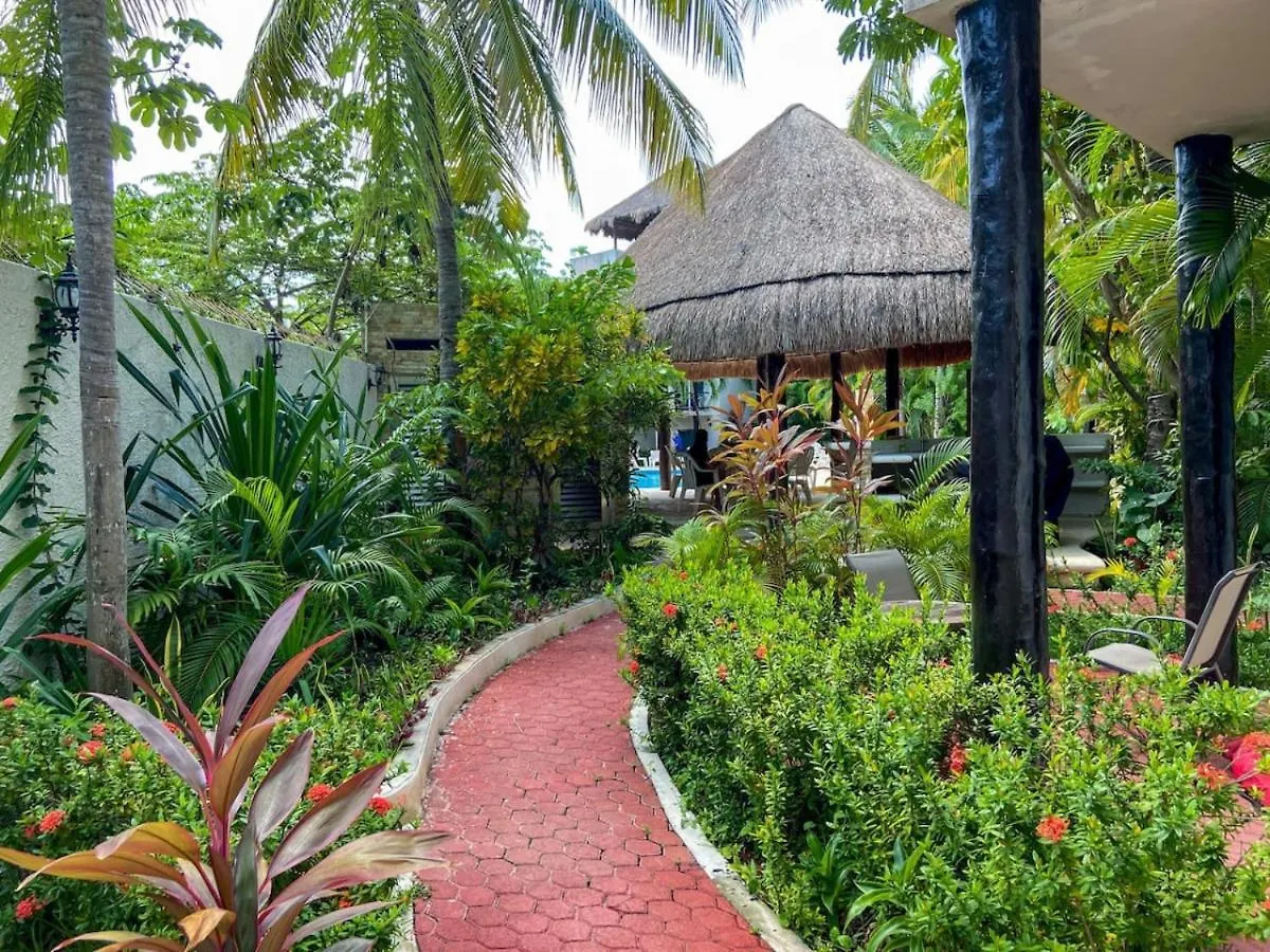 Apartment Beach Lovers Chic 2Br Home Dowtown - Sea At 100M Playa del Carmen Mexico